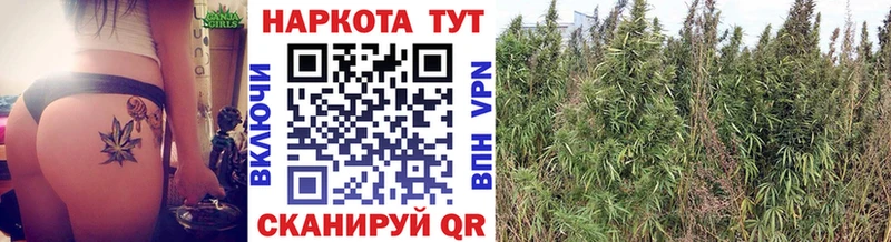 Цена Эртиль Alpha PVP Метадон Каннабис ГАШ