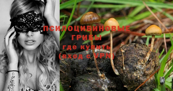 экстази Осташков