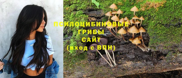 круглые Осинники