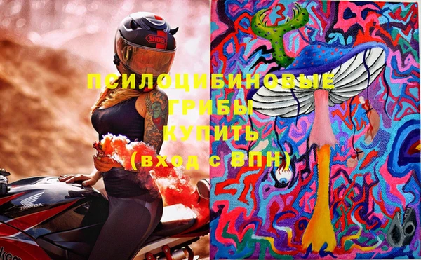 круглые Осинники